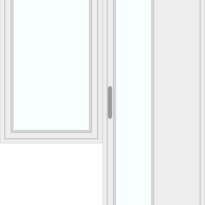 Door with left window